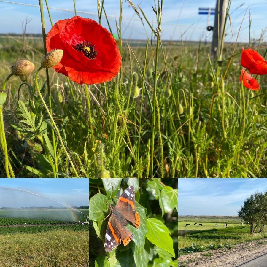 Vakantiebungalow Mee Naar Ouddorp Aan Zee Luaran gambar