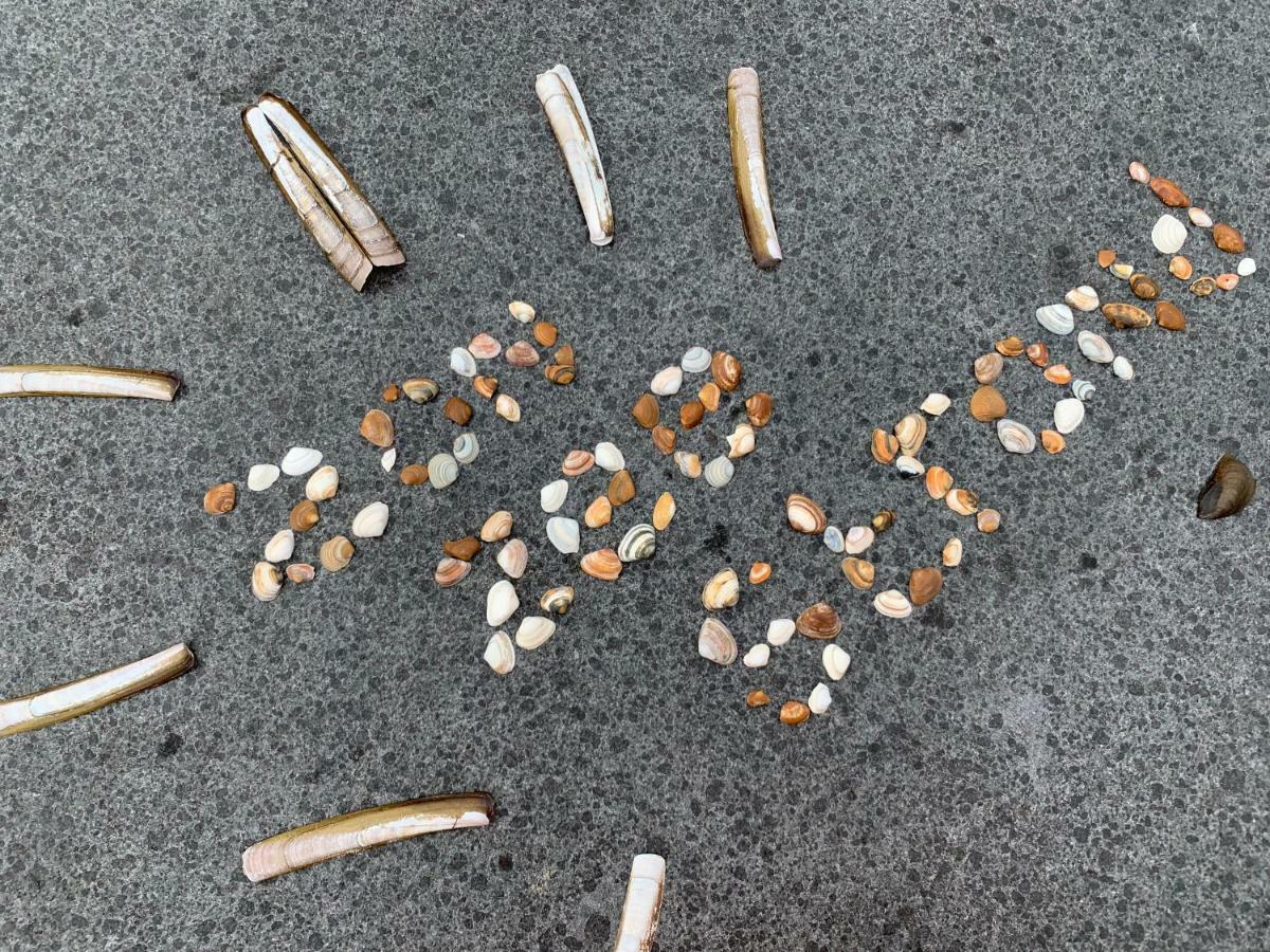 Vakantiebungalow Mee Naar Ouddorp Aan Zee Luaran gambar